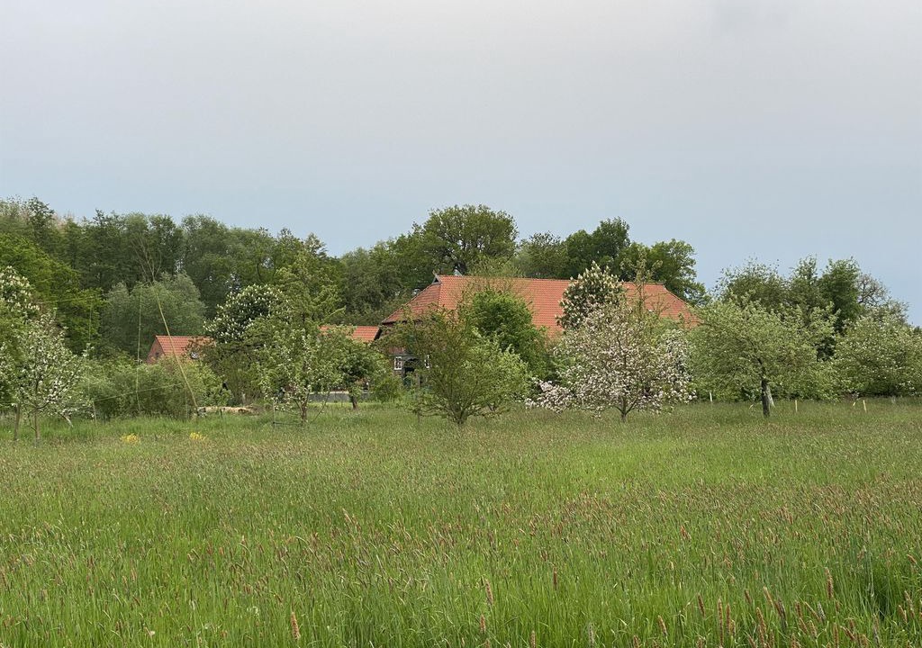 Photo of Others in Amt Neuhaus