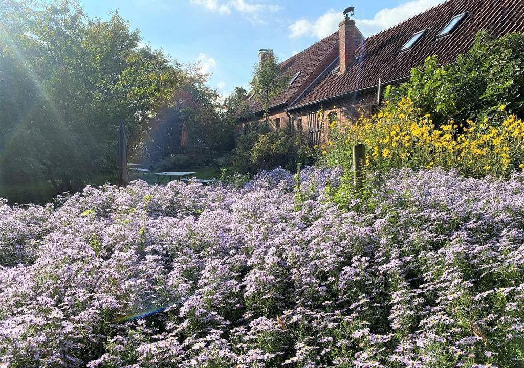 Photo of Outdoor in Amt Neuhaus