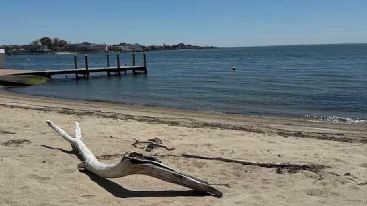 Photo of Others in Saybrook Manor