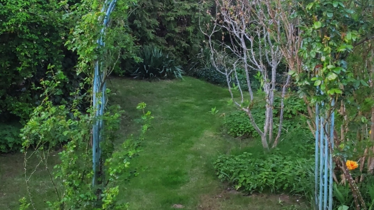 Photo of Outdoor in Fahlhorst