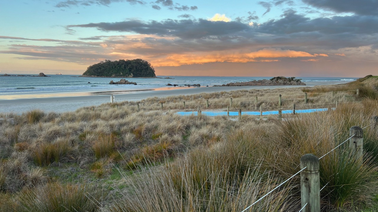 Photo of Others in Mount Maunganui