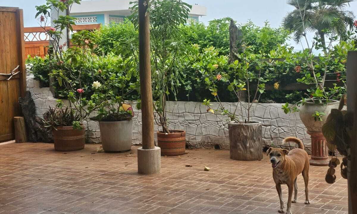 Photo of Outdoor in Dibulla