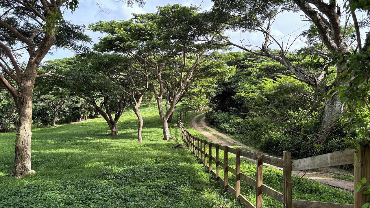 Photo of Outdoor in Isabel II