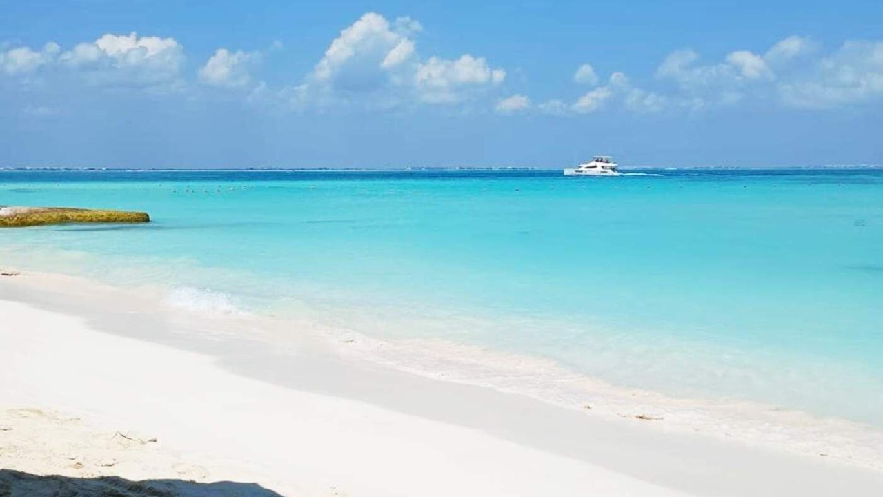 Photo of Others in Playacar Fase I