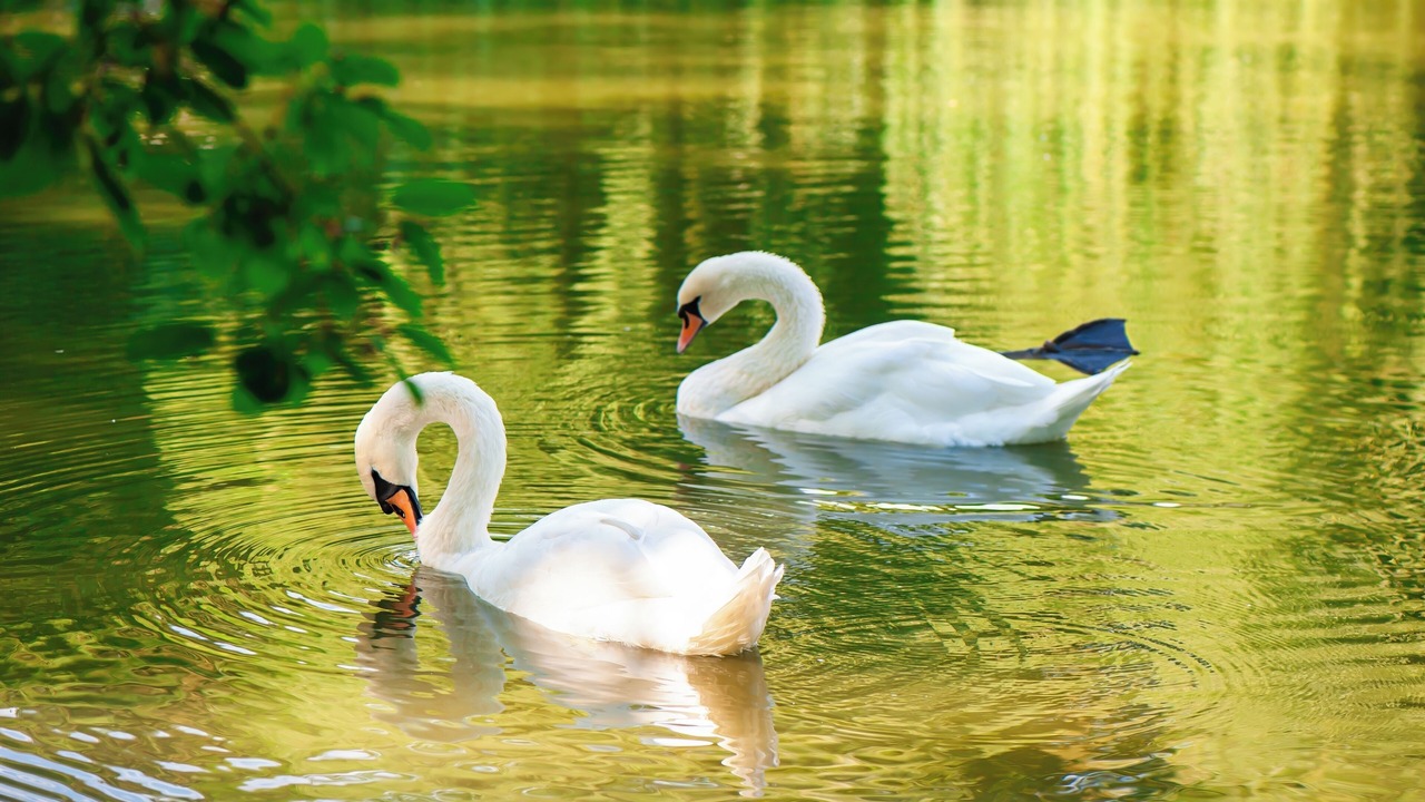 Photo of Others in Werder