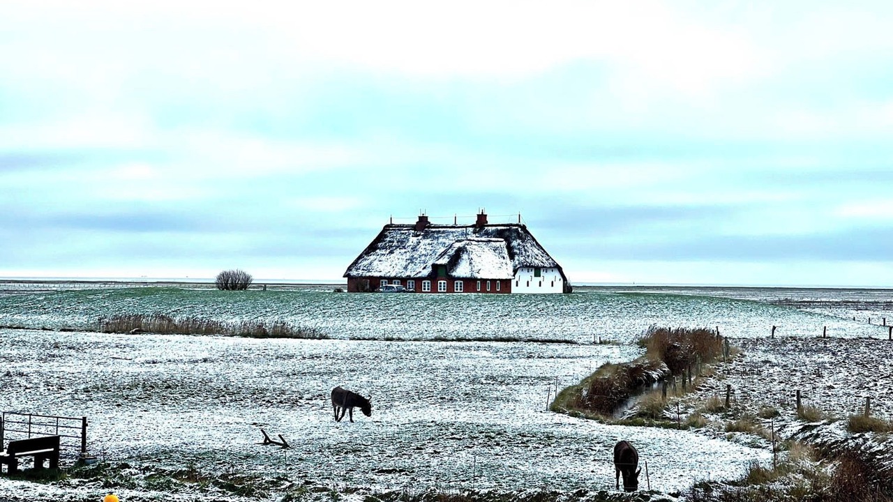 Photo of Others in Langeneß