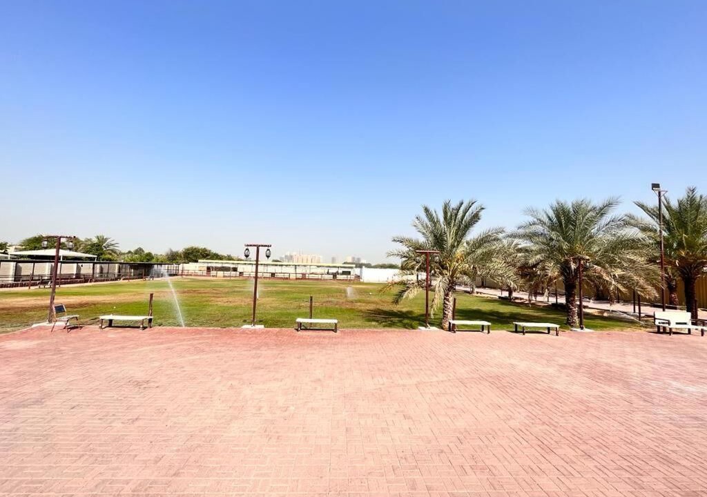 Photo of Others in Ajman