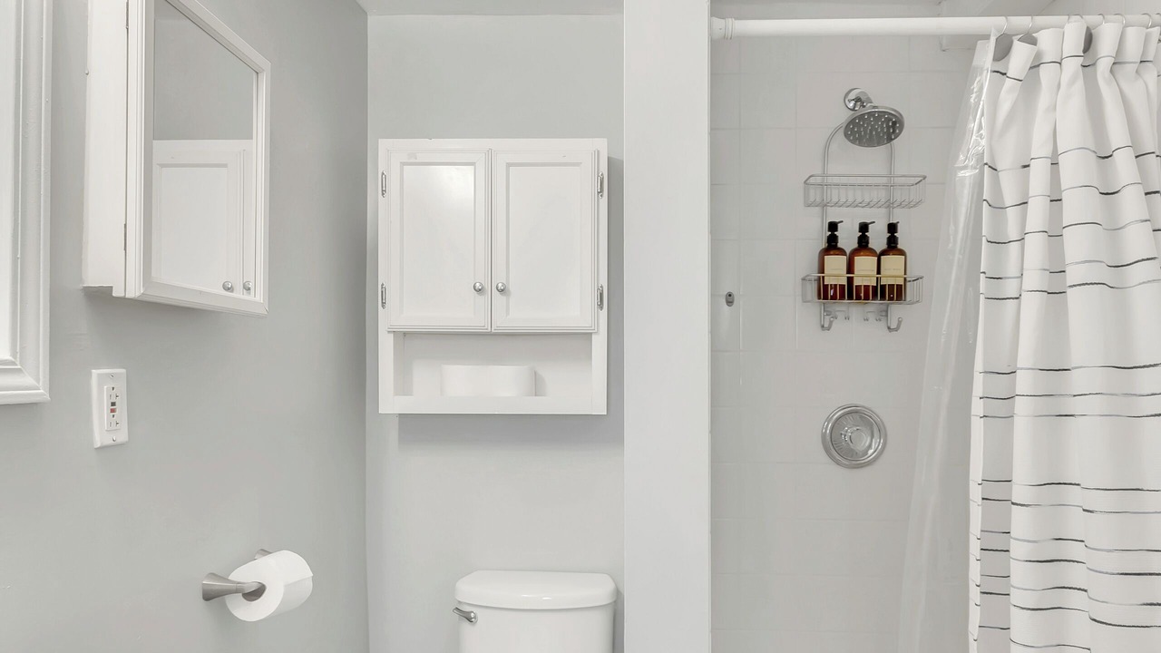 Photo of Bathroom in West Town