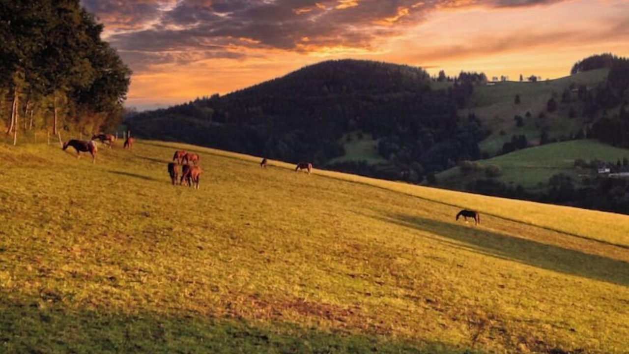 Photo of Others in Horben