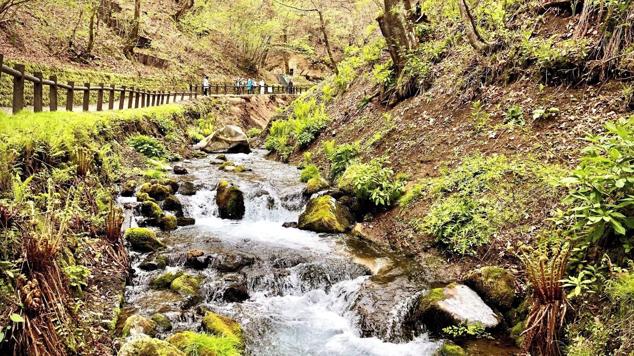 Photo of Others in Tsumagoi