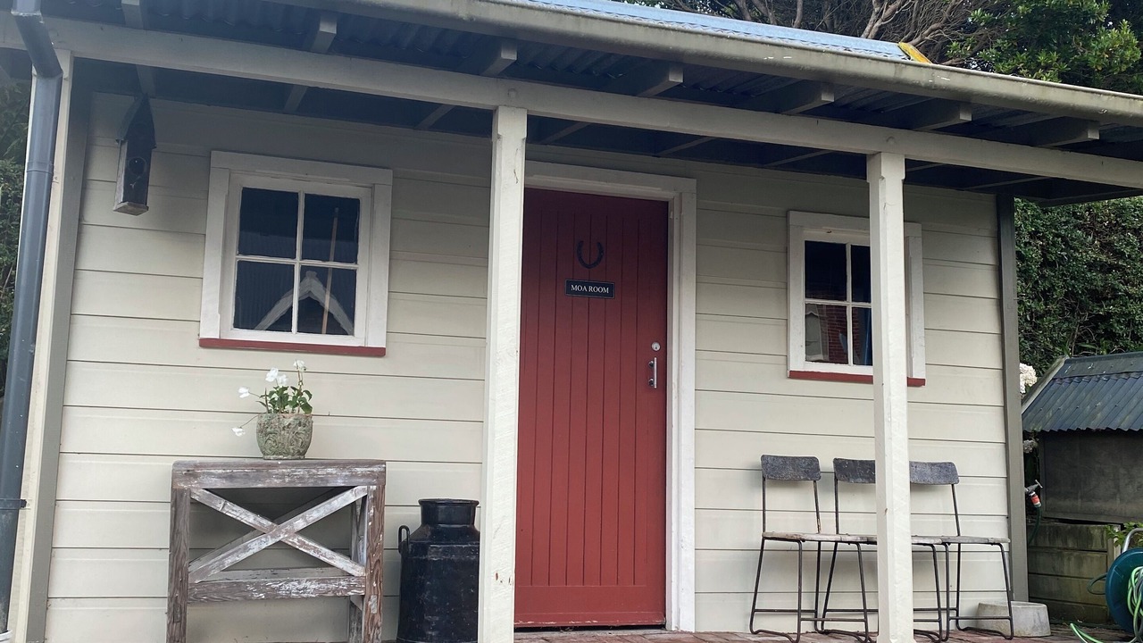 Photo of Outdoor in Dunedin