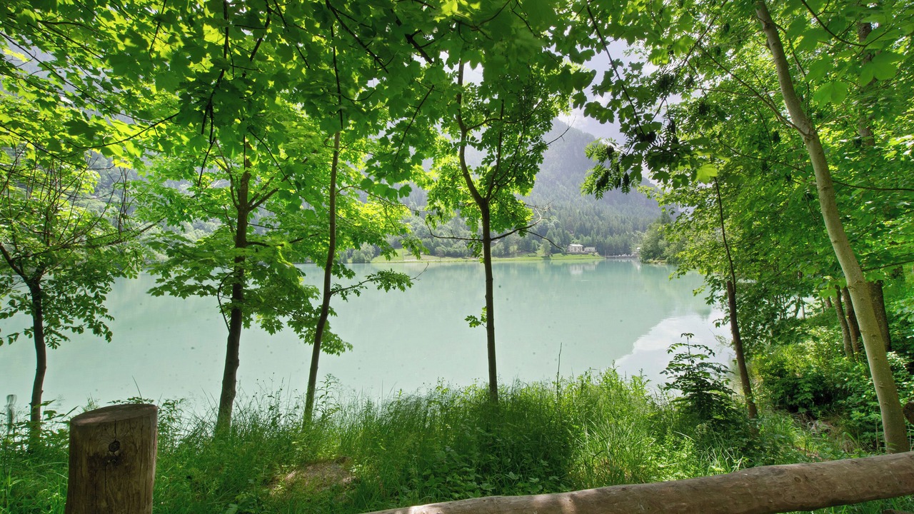 Photo of Others in Paquier
