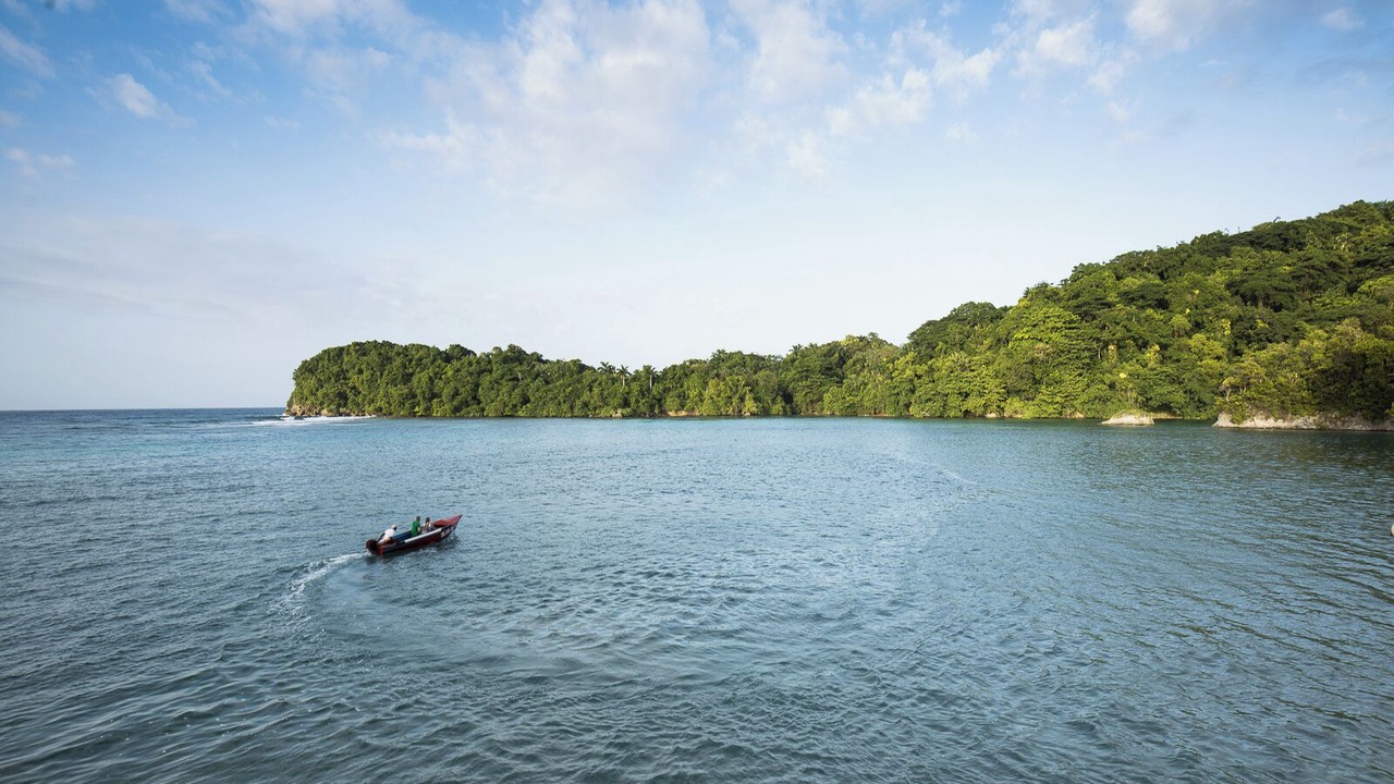 Photo of Others in Port Antonio