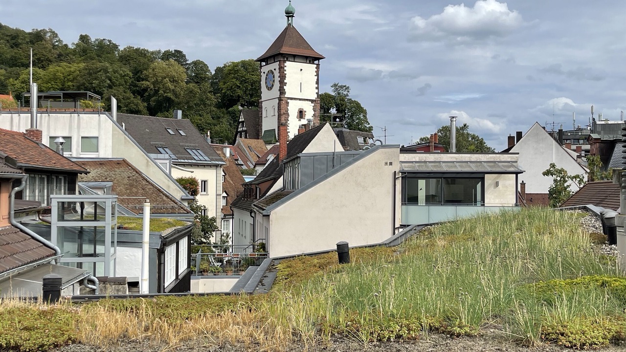 Photo of Others in Old Town