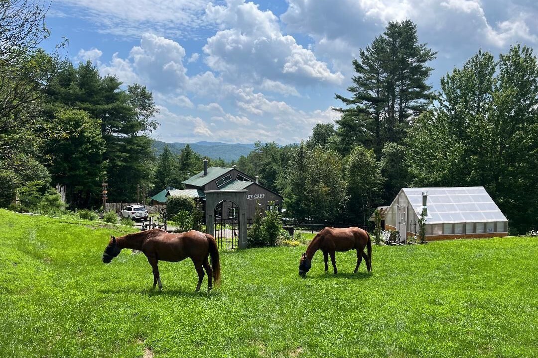 Photo of Others in St. Johnsbury