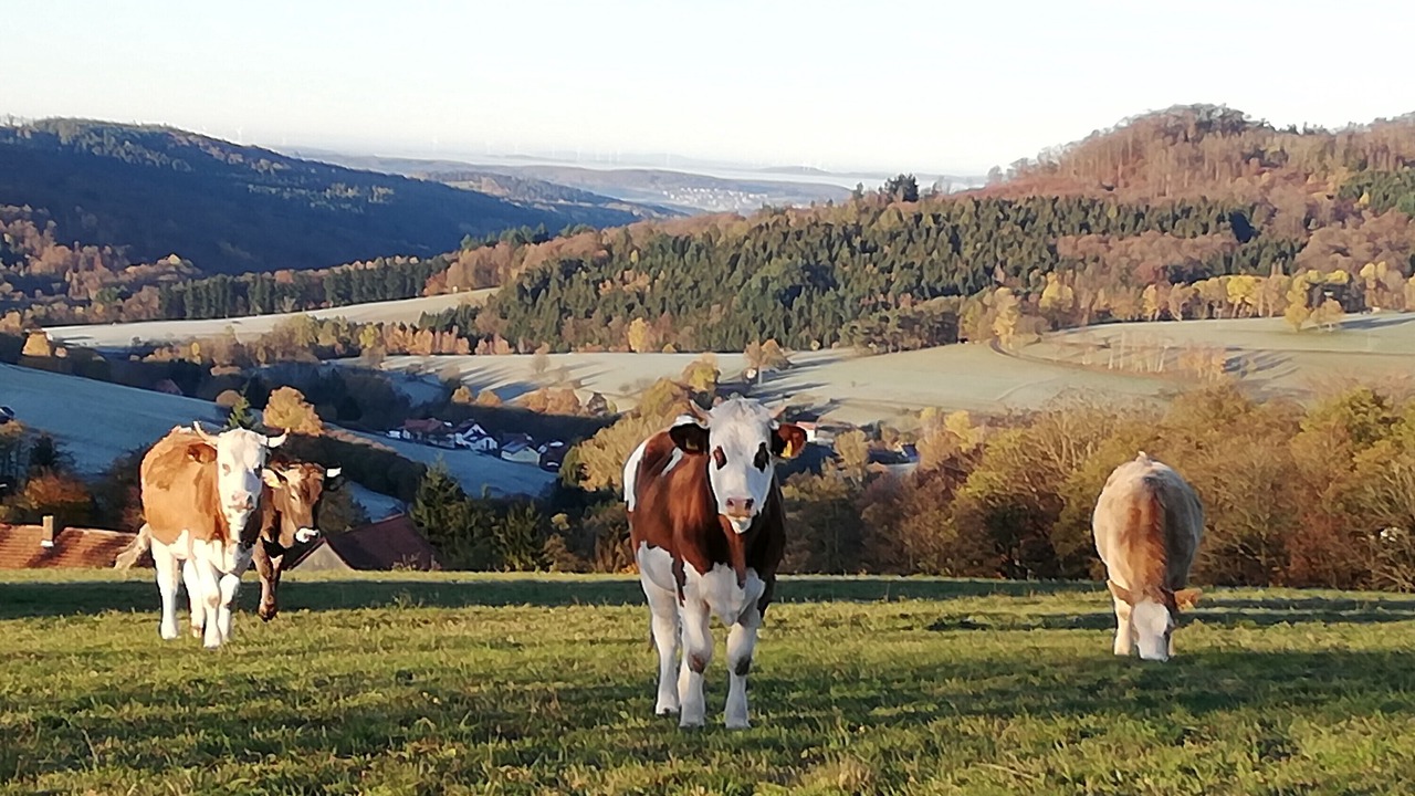 Photo of Others in Gersfeld