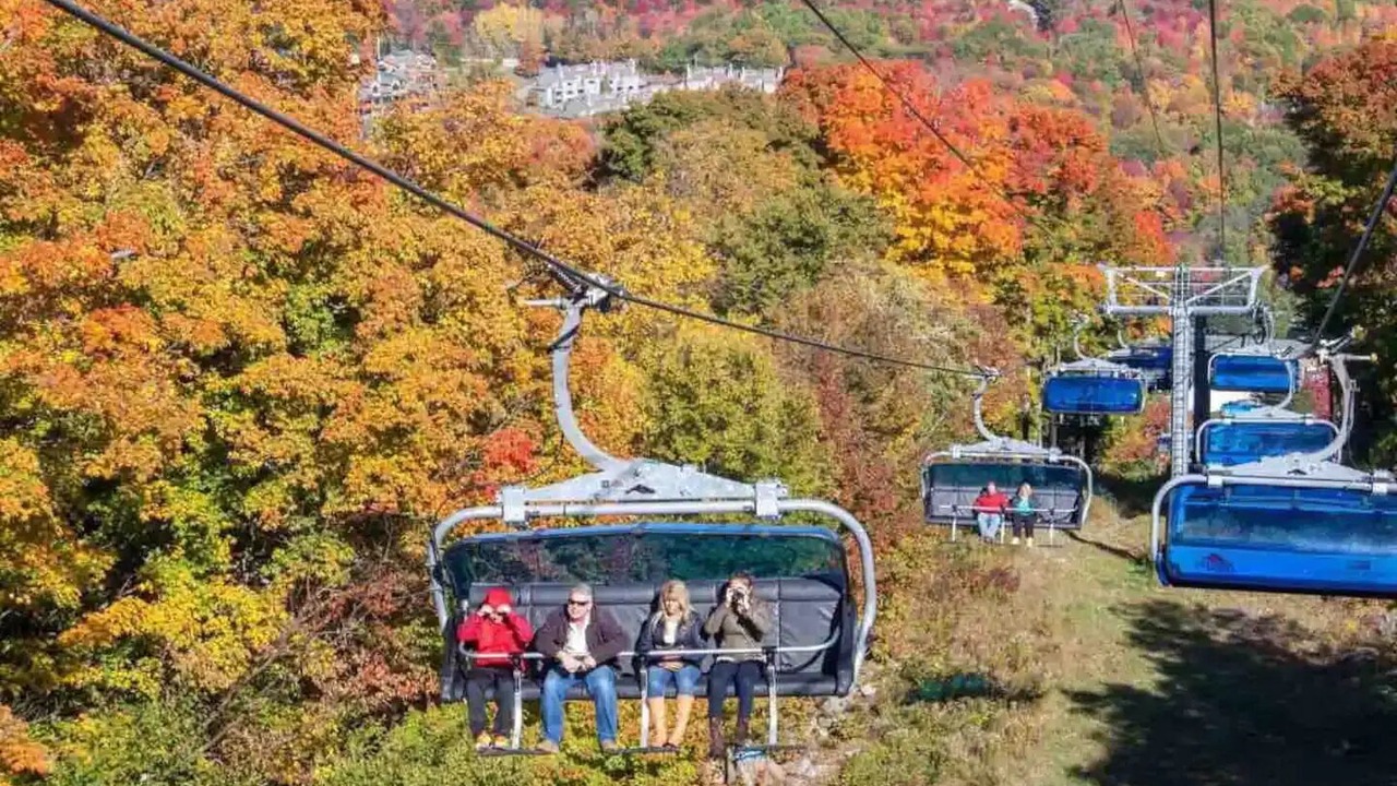 Photo of Others in Stratton
