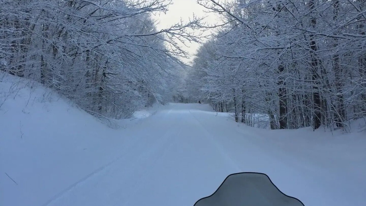 Photo of Others in Stratton
