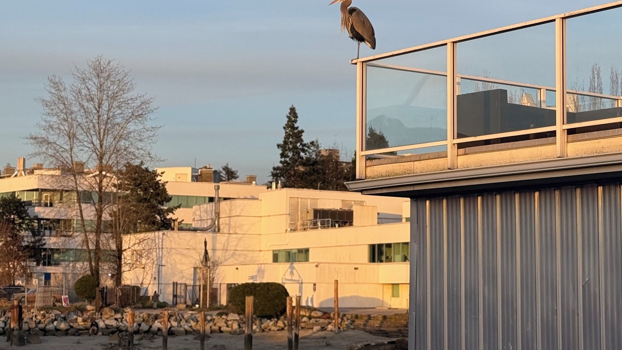 Photo of Others in Lower Lonsdale
