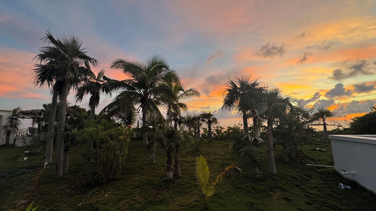 Photo of Outdoor in Double Bay