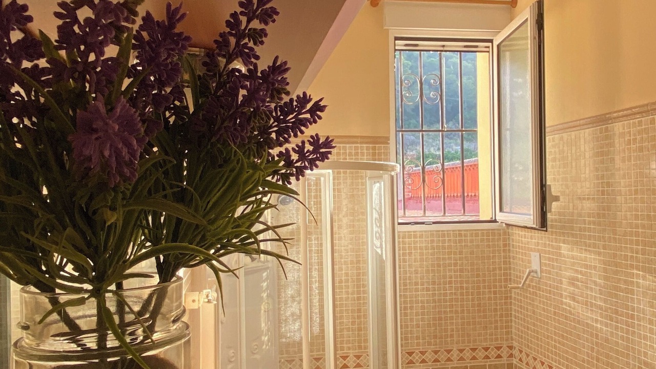 Photo of Bathroom in Alzira