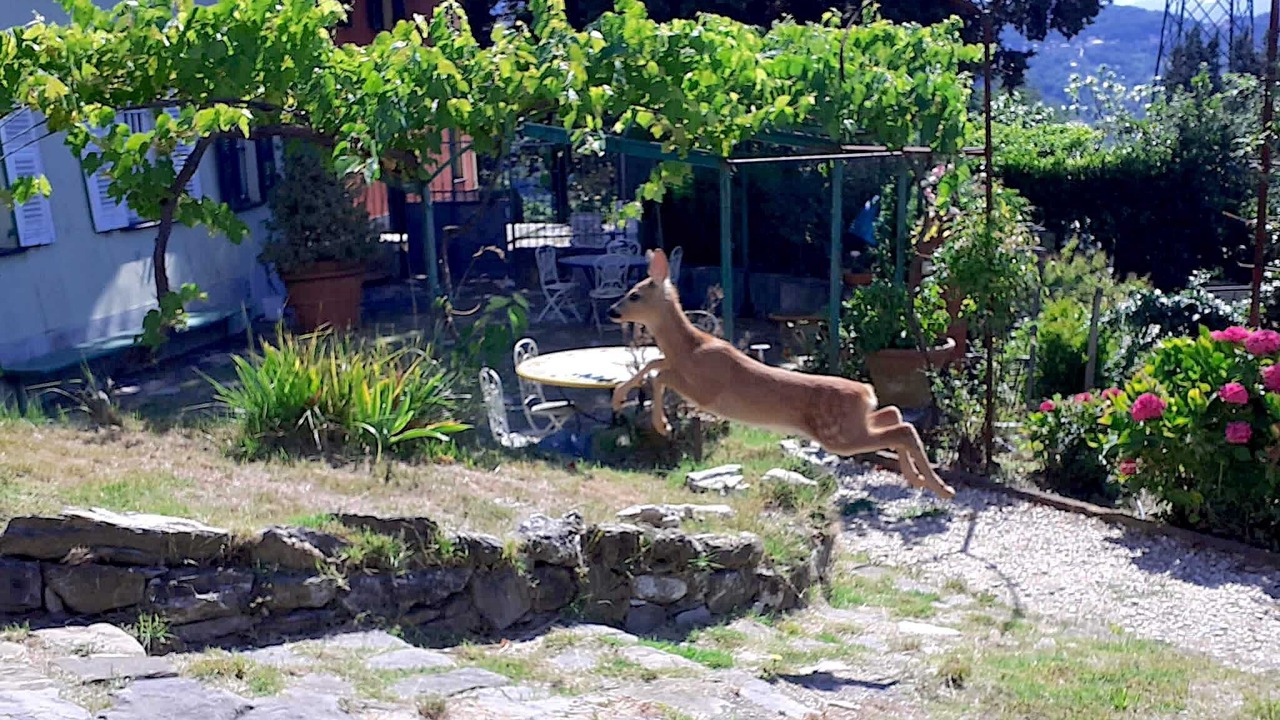 Photo of Outdoor in Bolzaneto