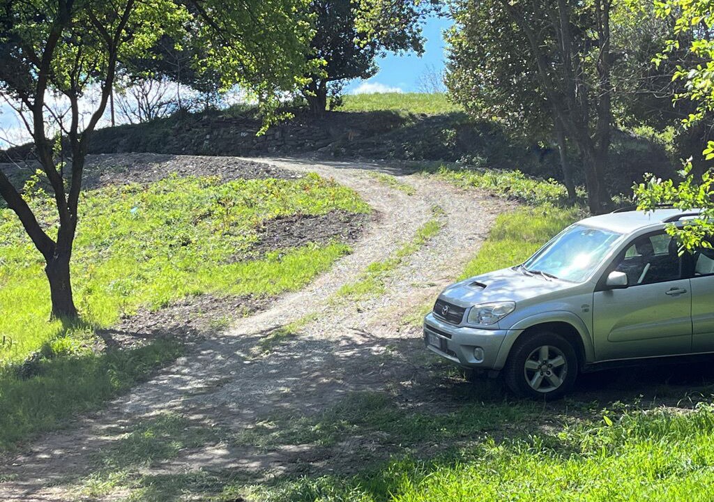 Photo of Outdoor in Bolzaneto