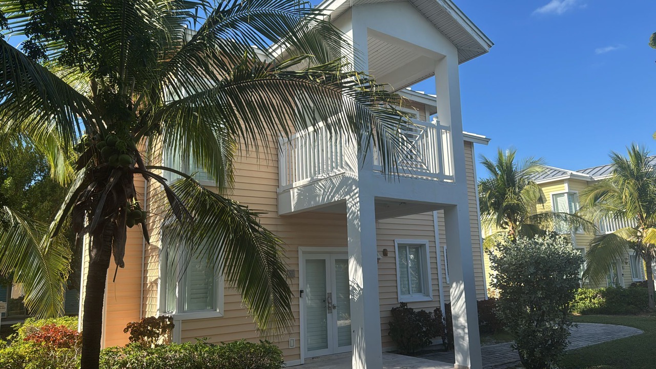 Photo of Outdoor in Alice Town