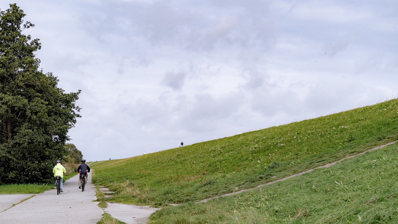 Photo of Others in Schillig
