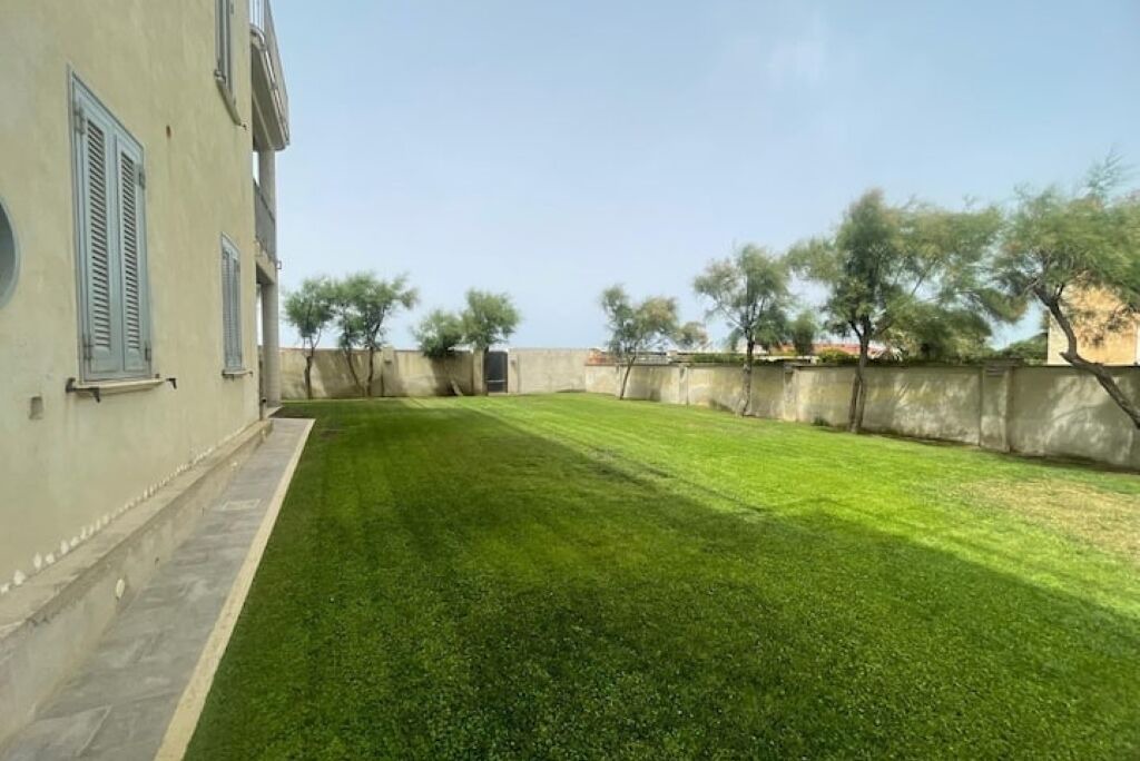 Photo of Outdoor in Focene