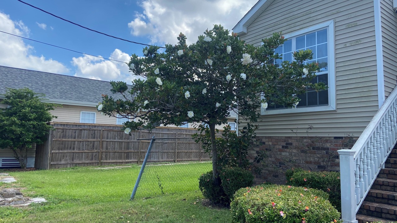 Photo of Outdoor in Broadmoor