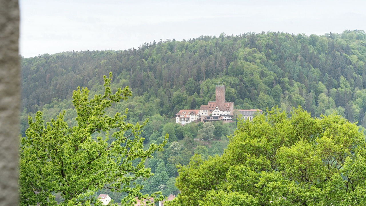 Photo of Others in Bad Liebenzell