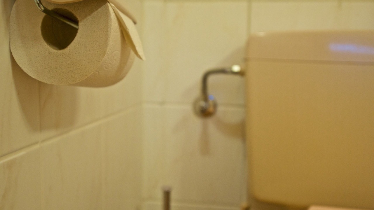 Photo of Bathroom in Val d'Illiez
