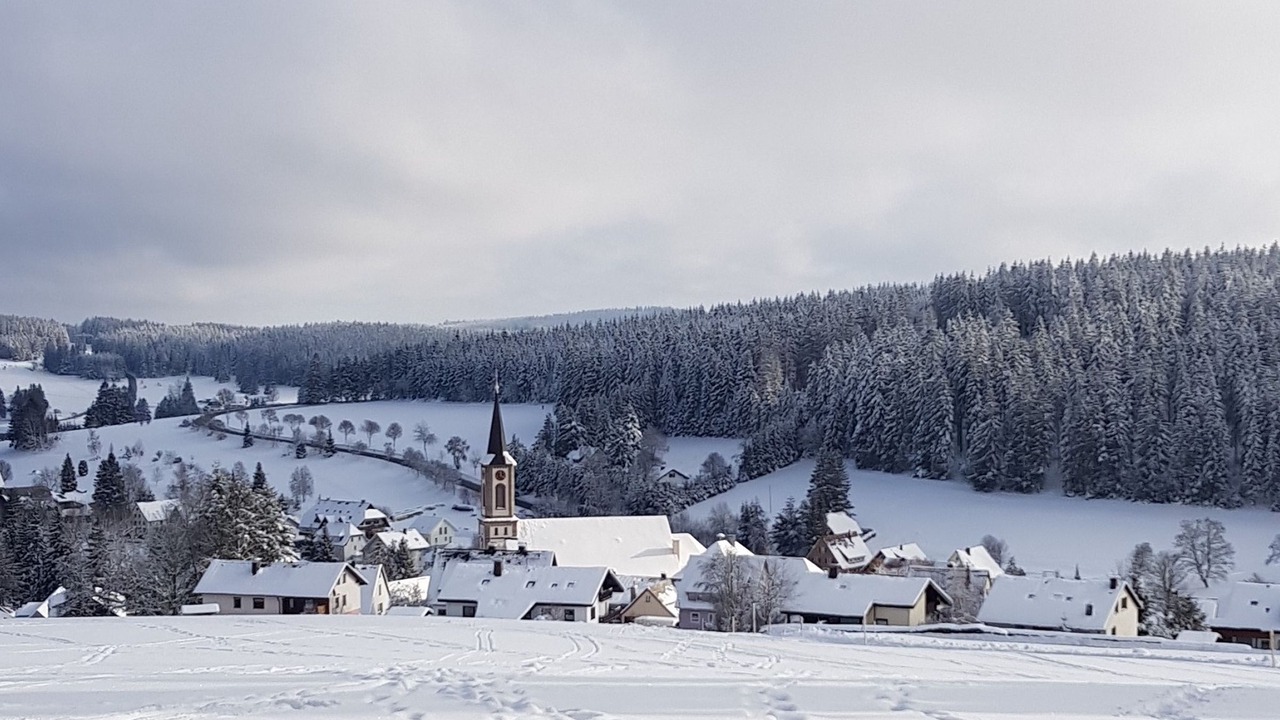 Photo of Others in Schoenwald