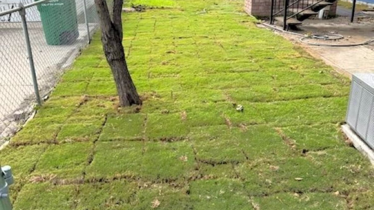 Photo of Outdoor in Northwest Los Angeles Heights