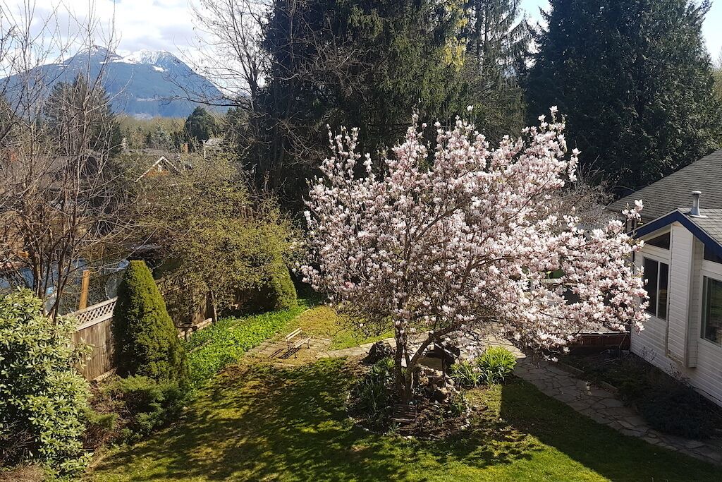 Photo of Outdoor in Brackendale