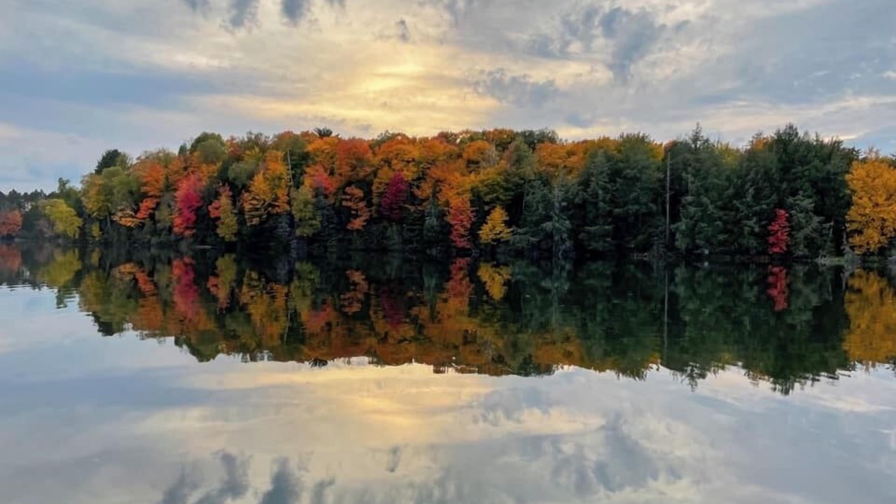 Photo of Others in Land O Lakes