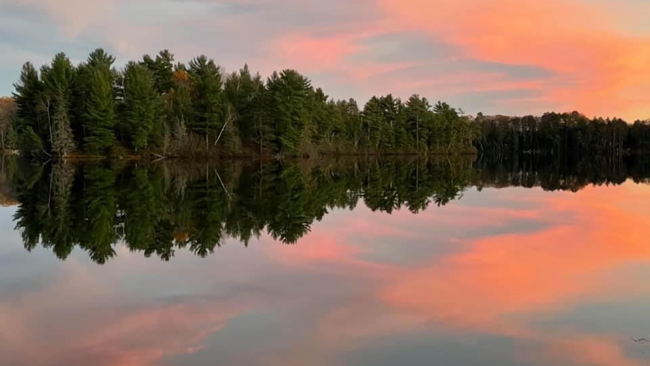 Photo of Others in Land O Lakes