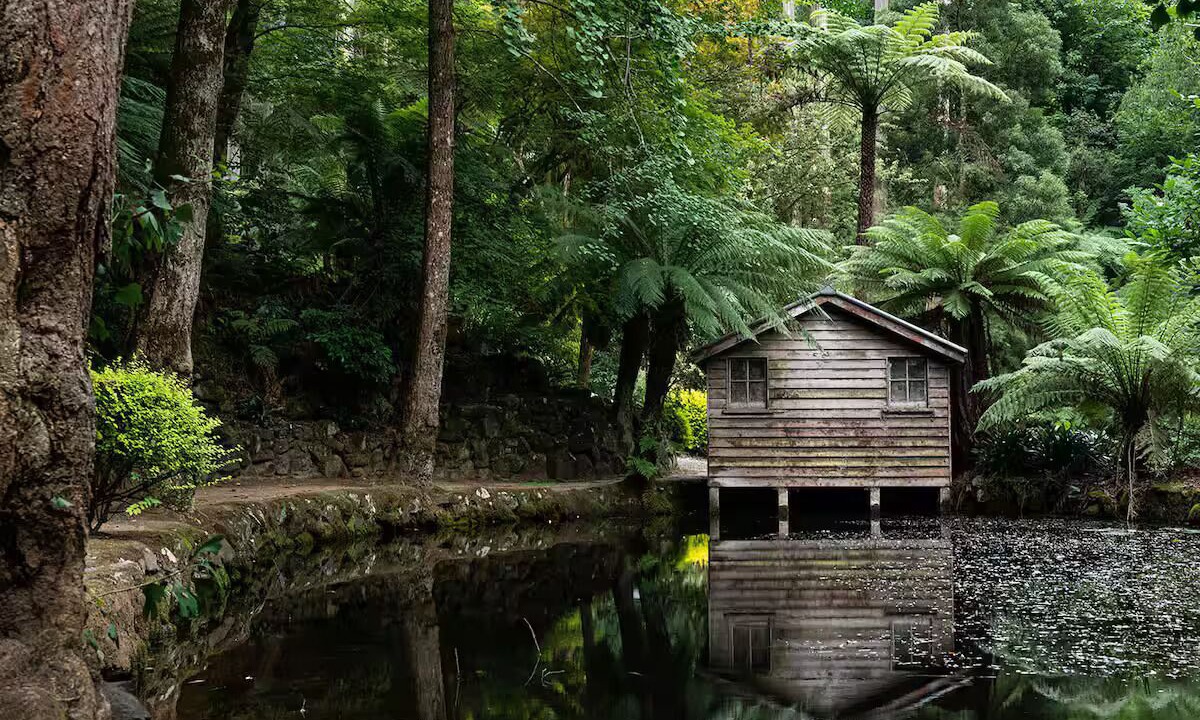 Photo of Outdoor in Boronia