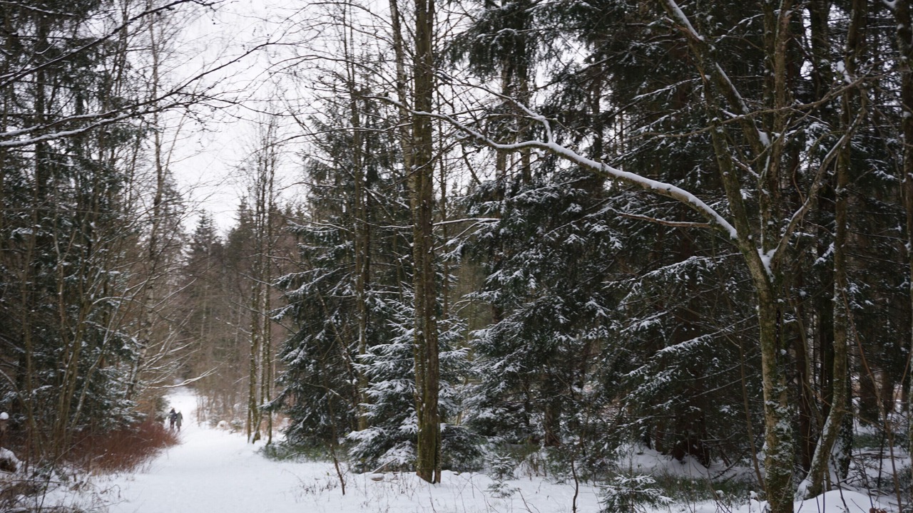 Photo of Others in Braunlage