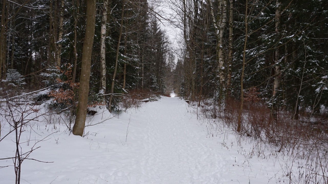 Photo of Others in Braunlage