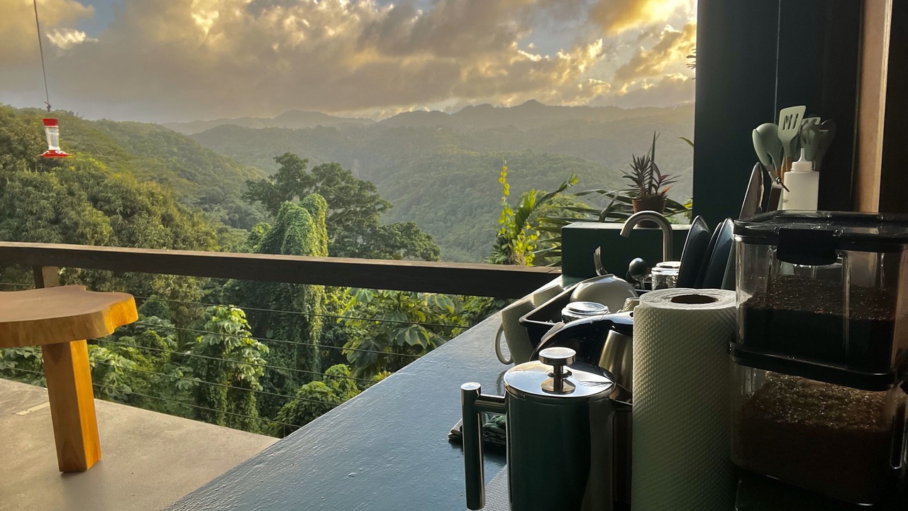 Photo of Outdoor in Port Antonio