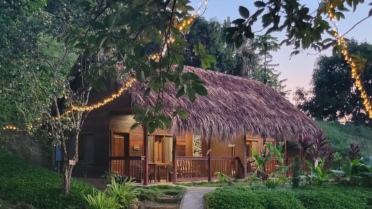 Photo of Outdoor in Palomino