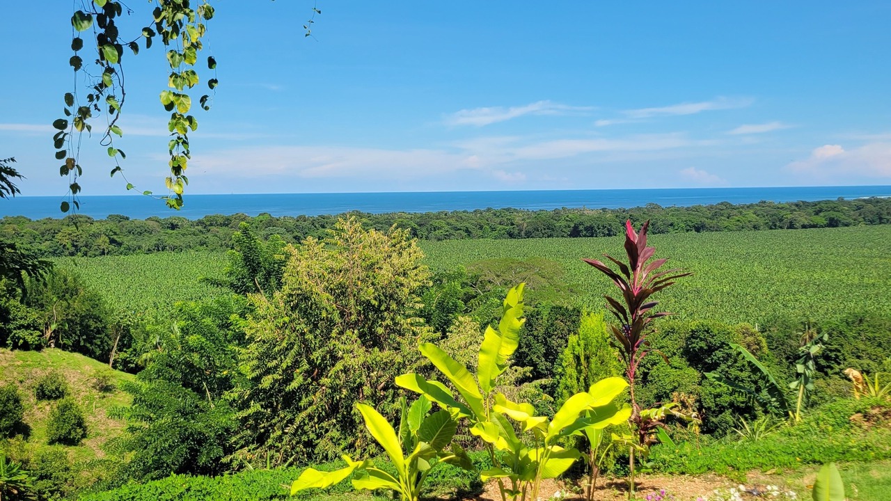 Photo of Outdoor in Palomino