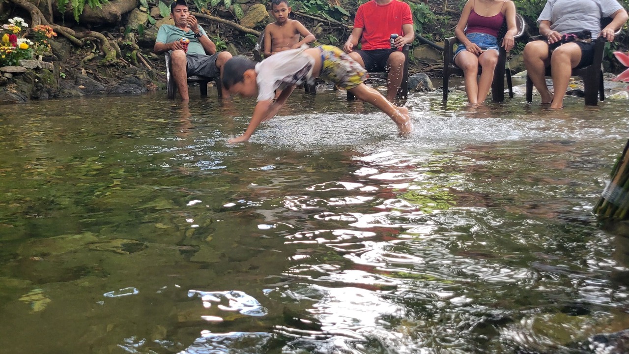 Photo of Others in Palomino