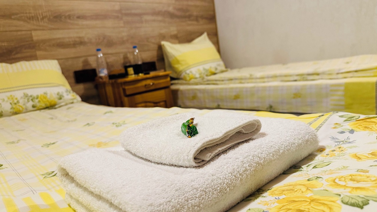 Photo of Bedroom in Shiligarnika