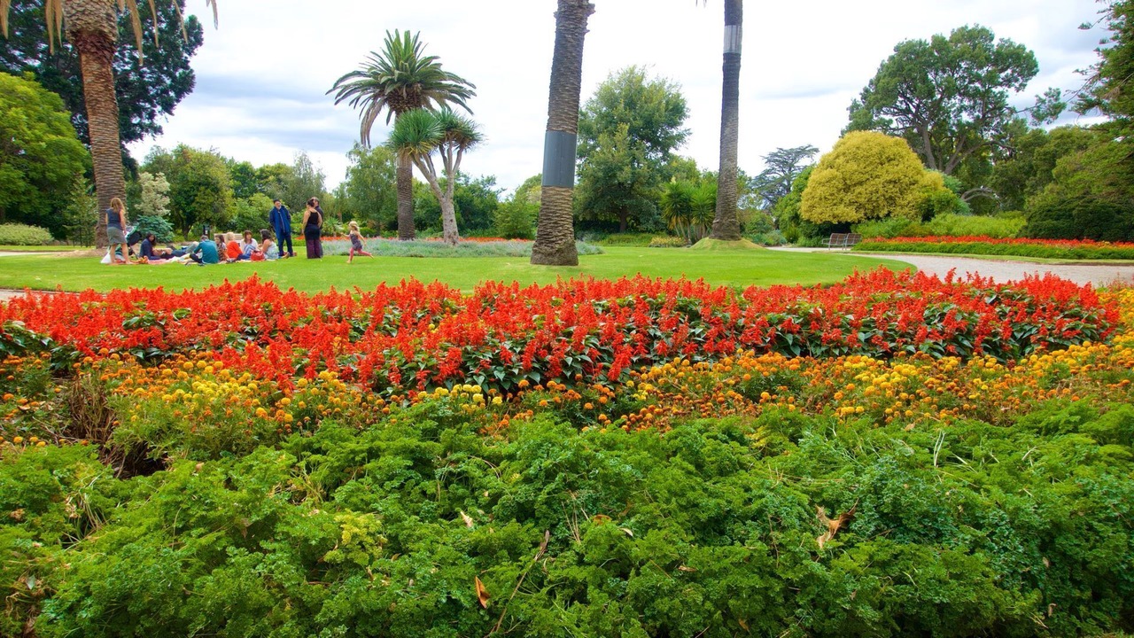 Photo of Others in St. Kilda East