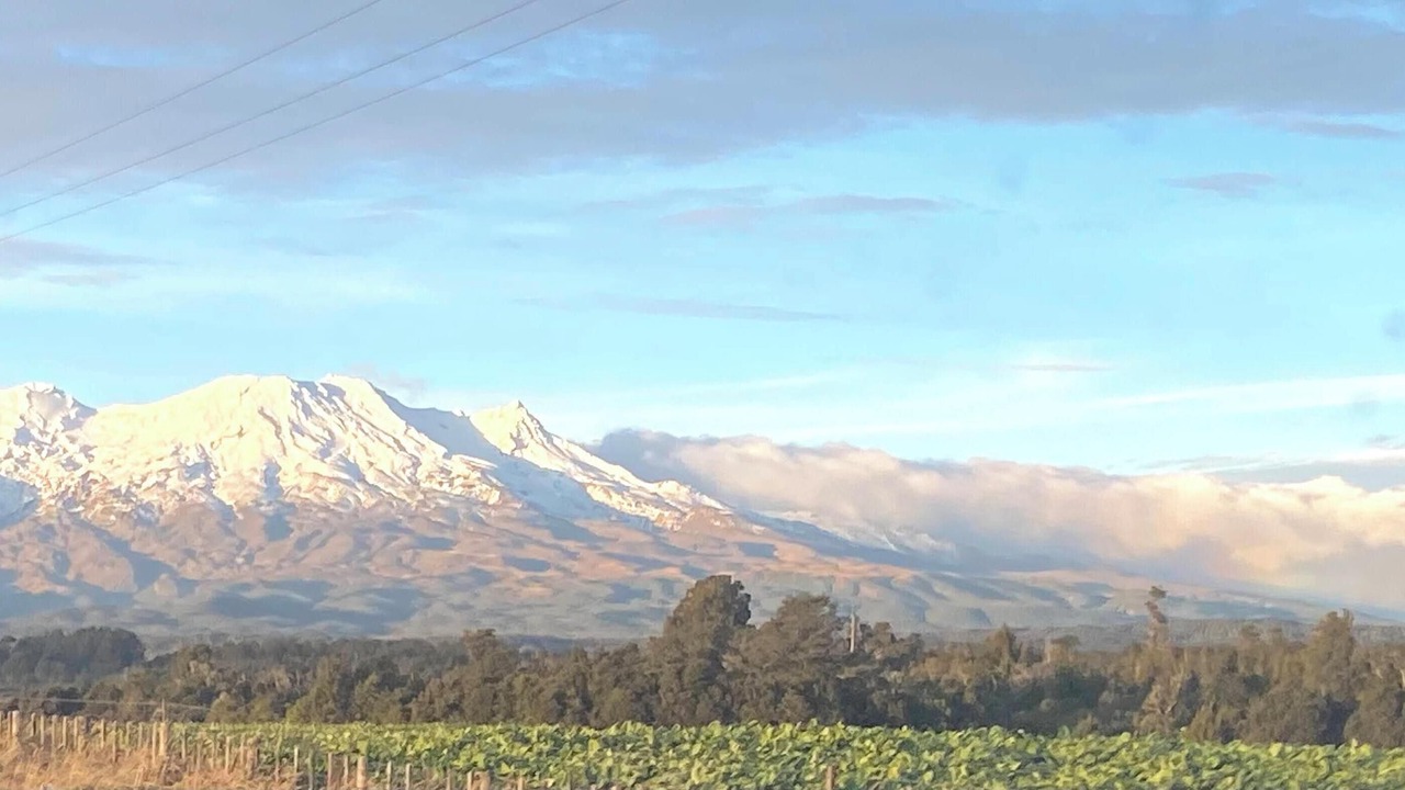 Photo of Others in Ohakune