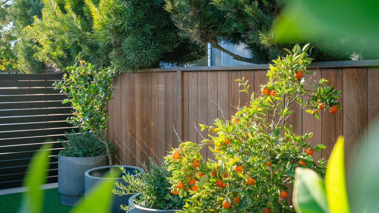Photo of Outdoor in Mar Vista