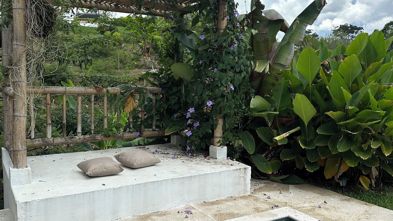 Photo of Outdoor in Alcala